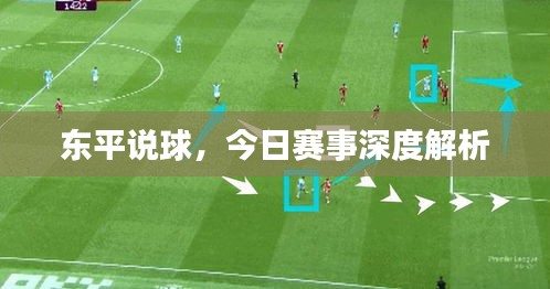 东平说球，今日赛事深度解析