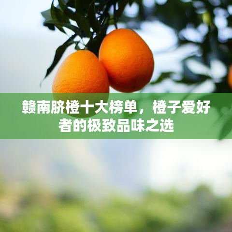 赣南脐橙十大榜单，橙子爱好者的极致品味之选