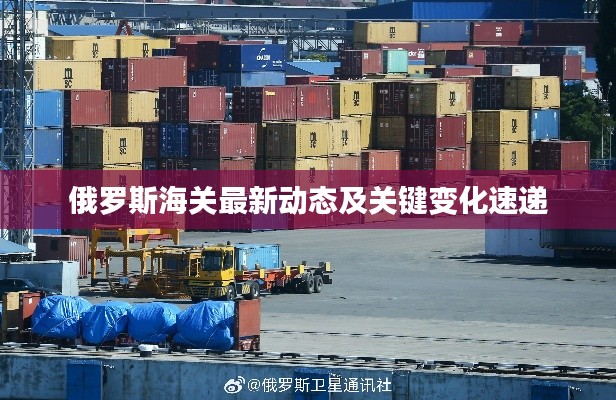 俄罗斯海关最新动态及关键变化速递