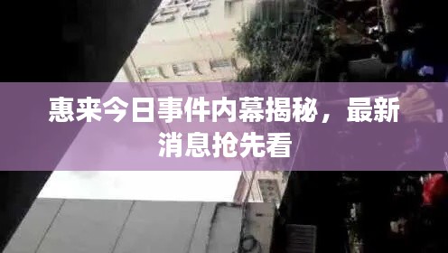 惠来今日事件内幕揭秘，最新消息抢先看