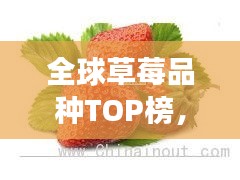 全球草莓品种TOP榜，十大草莓品种争奇斗艳！