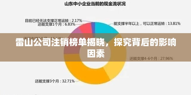 雷山公司注销榜单揭晓，探究背后的影响因素