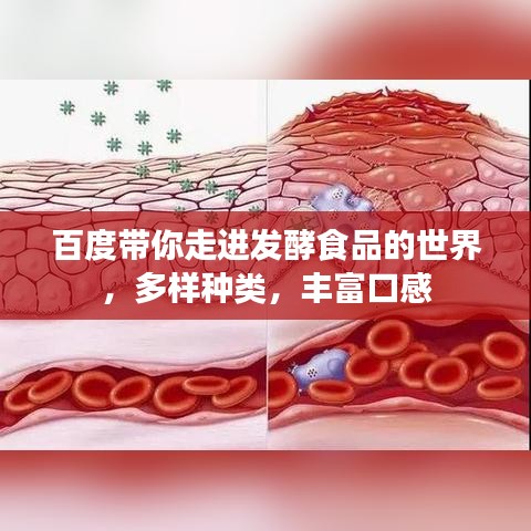 百度带你走进发酵食品的世界，多样种类，丰富口感