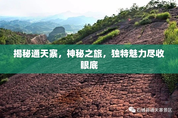 揭秘通天寨，神秘之旅，独特魅力尽收眼底