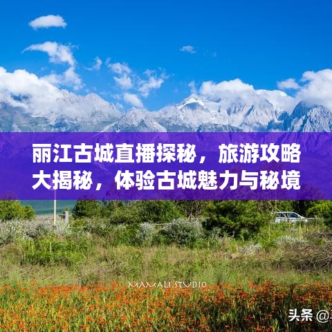 丽江古城直播探秘，旅游攻略大揭秘，体验古城魅力与秘境之旅！