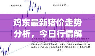 鸡东最新猪价走势分析，今日行情解读