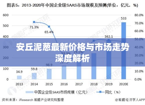 安丘泥葱最新价格与市场走势深度解析