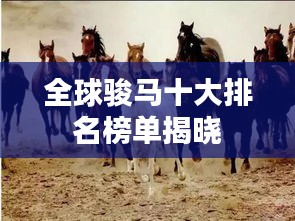 全球骏马十大排名榜单揭晓