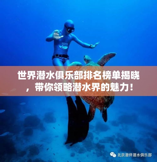 世界潜水俱乐部排名榜单揭晓，带你领略潜水界的魅力！