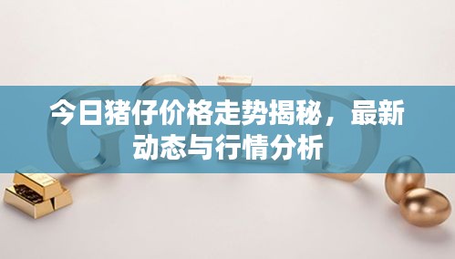 今日猪仔价格走势揭秘，最新动态与行情分析
