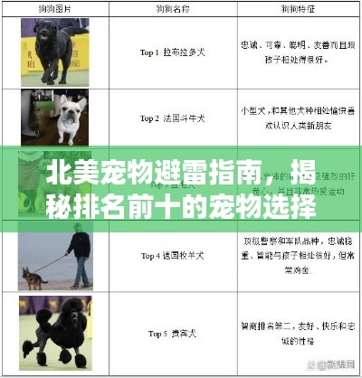 北美宠物避雷指南，揭秘排名前十的宠物选择