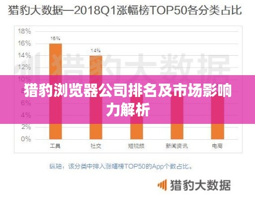 猎豹浏览器公司排名及市场影响力解析