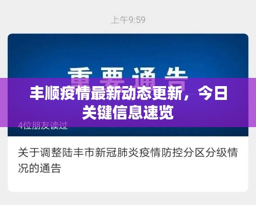 丰顺疫情最新动态更新，今日关键信息速览