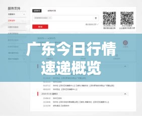 广东今日行情速递概览