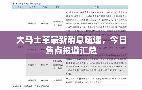 大马士革最新消息速递，今日焦点报道汇总
