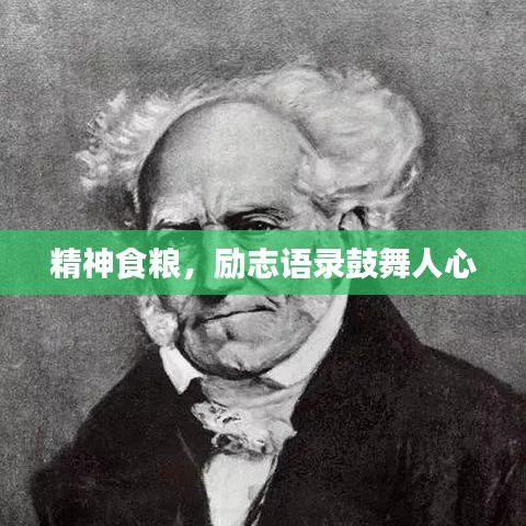 精神食粮，励志语录鼓舞人心