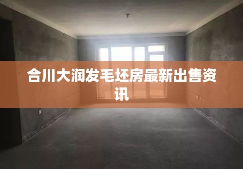 合川大润发毛坯房最新出售资讯