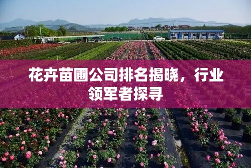 花卉苗圃公司排名揭晓，行业领军者探寻