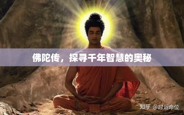 佛陀传，探寻千年智慧的奥秘
