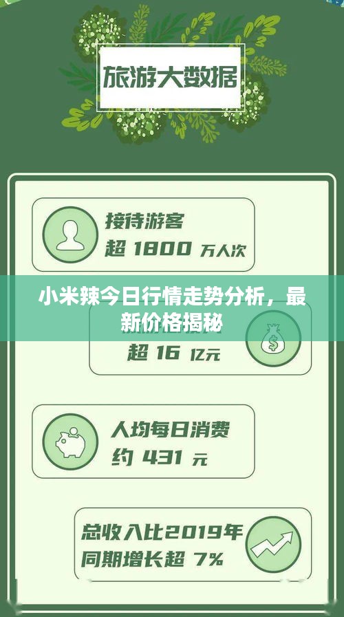 小米辣今日行情走势分析，最新价格揭秘