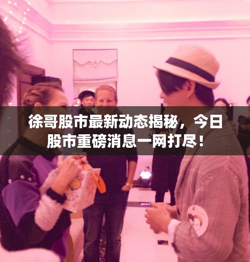 徐哥股市最新动态揭秘，今日股市重磅消息一网打尽！