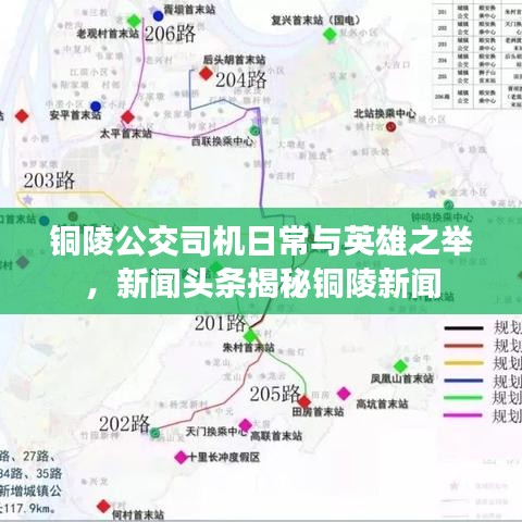 铜陵公交司机日常与英雄之举，新闻头条揭秘铜陵新闻