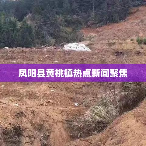 凤阳县黄桃镇热点新闻聚焦