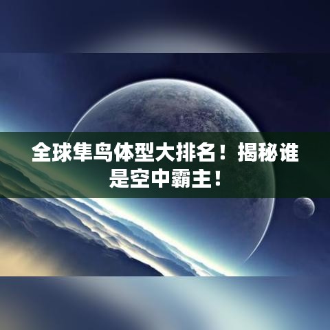 全球隼鸟体型大排名！揭秘谁是空中霸主！