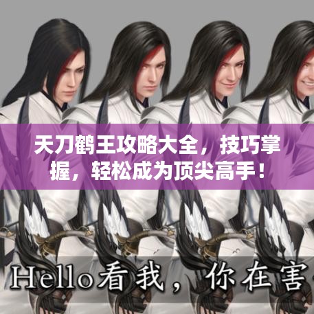天刀鹤王攻略大全，技巧掌握，轻松成为顶尖高手！