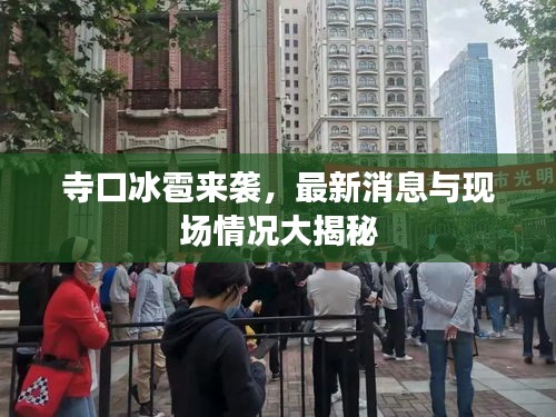 寺口冰雹来袭，最新消息与现场情况大揭秘