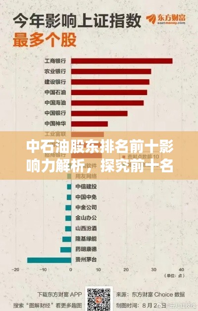 中石油股东排名前十影响力解析，探究前十名股东的持股地位与影响力