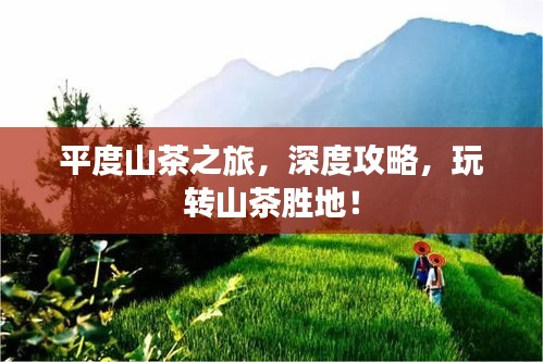 平度山茶之旅，深度攻略，玩转山茶胜地！