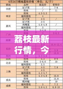 荔枝最新行情，今日价格走势分析