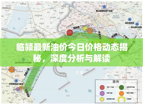 临颍最新油价今日价格动态揭秘，深度分析与解读