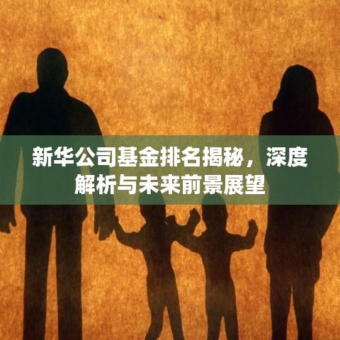 新华公司基金排名揭秘，深度解析与未来前景展望