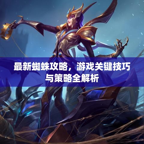 最新蜘蛛攻略，游戏关键技巧与策略全解析