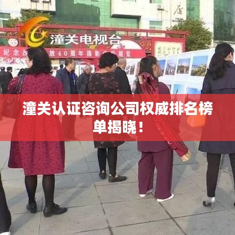 潼关认证咨询公司权威排名榜单揭晓！