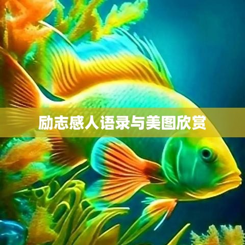 励志感人语录与美图欣赏