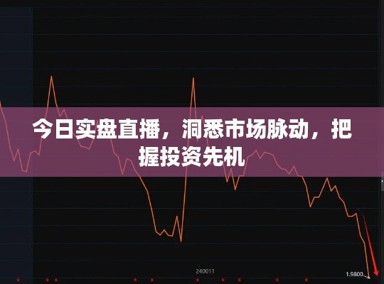 今日实盘直播，洞悉市场脉动，把握投资先机