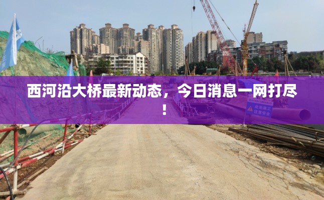 西河沿大桥最新动态，今日消息一网打尽！