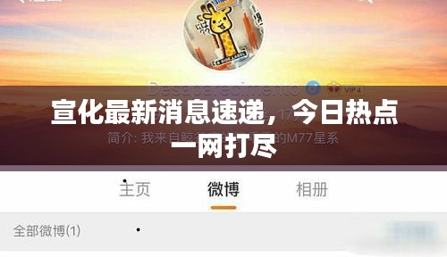 宣化最新消息速递，今日热点一网打尽