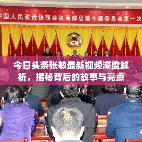 今日头条张敏最新视频深度解析，揭秘背后的故事与亮点