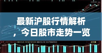 最新沪股行情解析，今日股市走势一览
