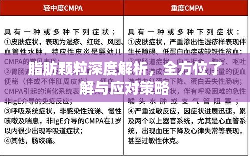 脂肪颗粒深度解析，全方位了解与应对策略