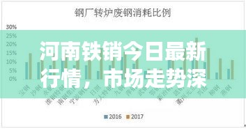 河南铁销今日最新行情，市场走势深度分析与预测