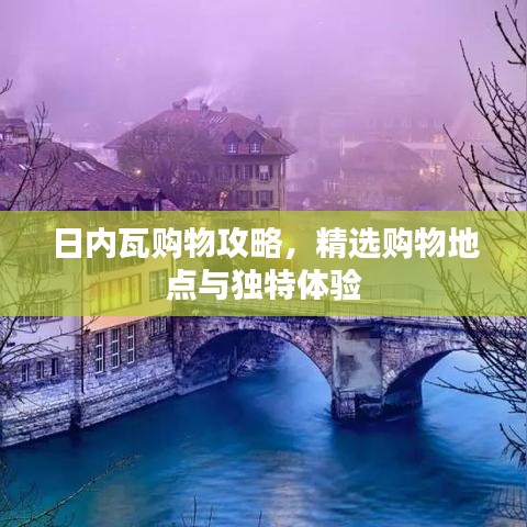 日内瓦购物攻略，精选购物地点与独特体验