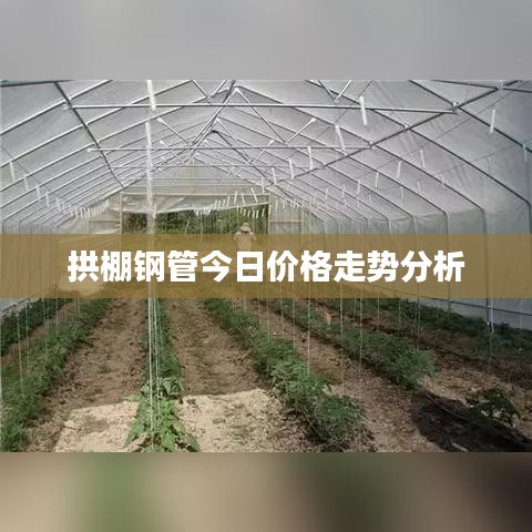 拱棚钢管今日价格走势分析