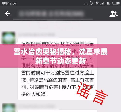 雪水治愈奥秘揭秘，沈嘉禾最新章节动态更新