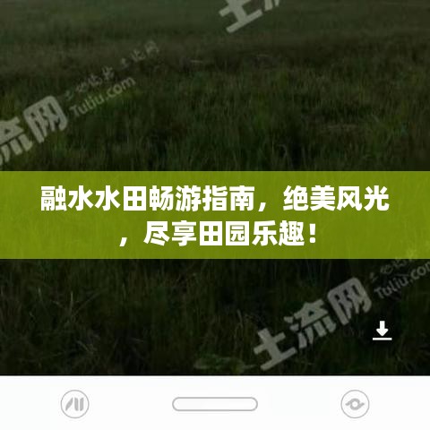 融水水田畅游指南，绝美风光，尽享田园乐趣！