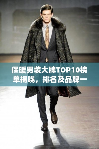 保暖男装大牌TOP10榜单揭晓，排名及品牌一网打尽